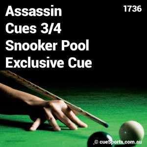 Assassin Cues 3/4 Snooker Pool Exclusive Cue