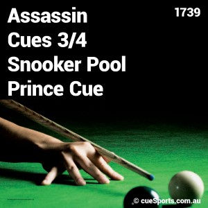 Assassin Cues 3/4 Snooker Pool Prince Cue