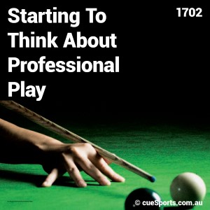 Snooker Cue shopping guide