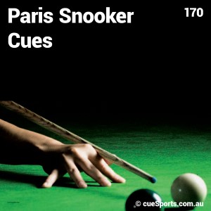 Paris Snooker Cues