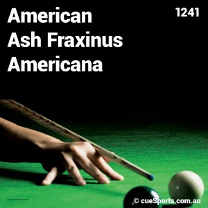 American Ash Fraxinus Americana