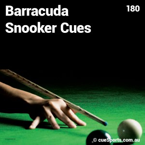 Barracuda Snooker Cues