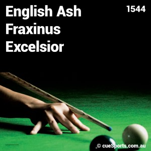 English Ash Fraxinus Excelsior