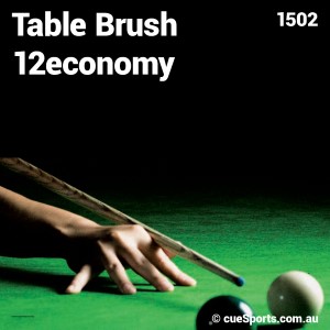 Table Brush 12economy