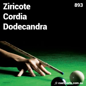 Ziricote Cordia Dodecandra